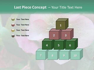 A Pink Flower With Green Leaves On It PowerPoint Template