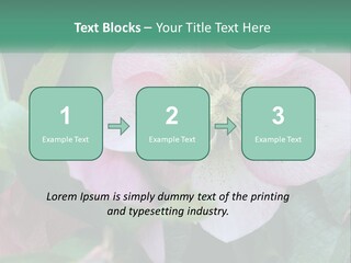 A Pink Flower With Green Leaves On It PowerPoint Template