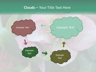 A Pink Flower With Green Leaves On It PowerPoint Template