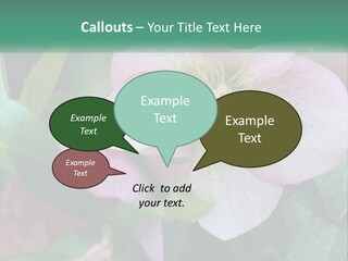 A Pink Flower With Green Leaves On It PowerPoint Template