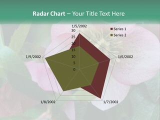 A Pink Flower With Green Leaves On It PowerPoint Template