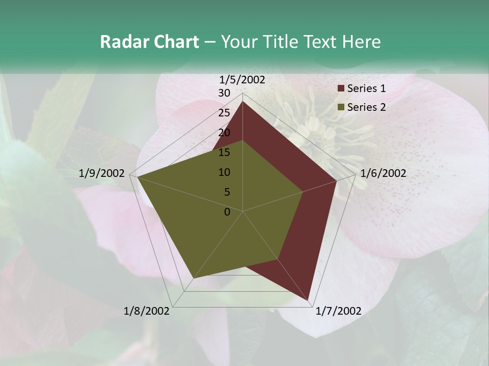 A Pink Flower With Green Leaves On It PowerPoint Template