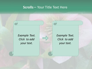 A Pink Flower With Green Leaves On It PowerPoint Template