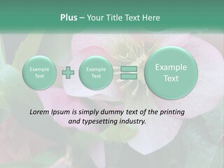 A Pink Flower With Green Leaves On It PowerPoint Template