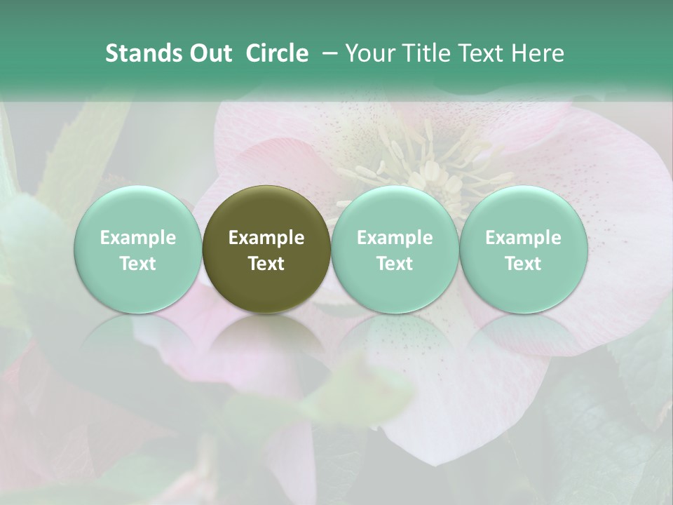 A Pink Flower With Green Leaves On It PowerPoint Template