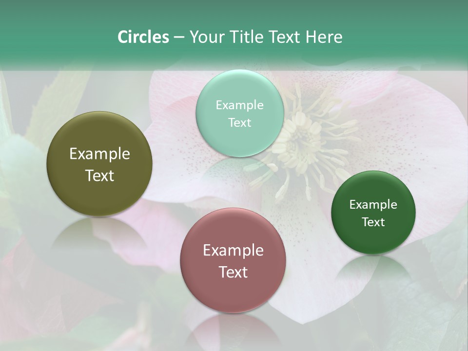 A Pink Flower With Green Leaves On It PowerPoint Template