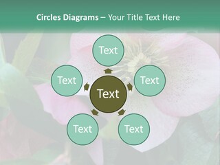 A Pink Flower With Green Leaves On It PowerPoint Template