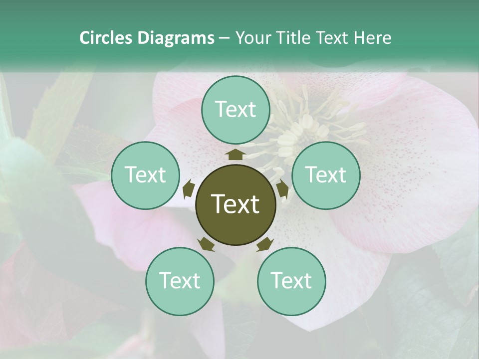 A Pink Flower With Green Leaves On It PowerPoint Template