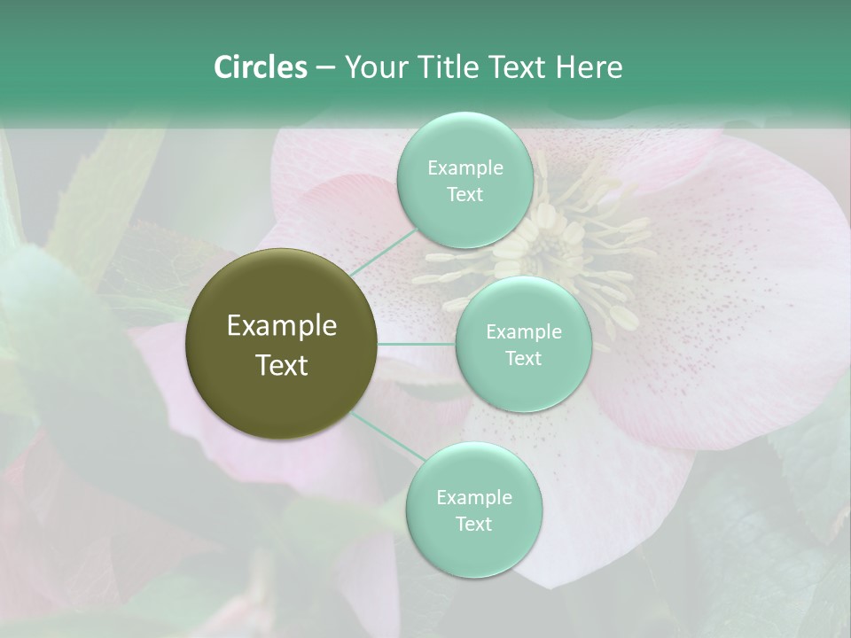 A Pink Flower With Green Leaves On It PowerPoint Template