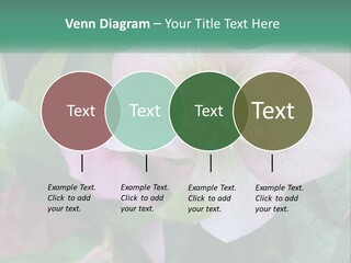 A Pink Flower With Green Leaves On It PowerPoint Template