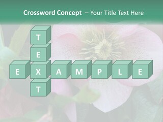 A Pink Flower With Green Leaves On It PowerPoint Template