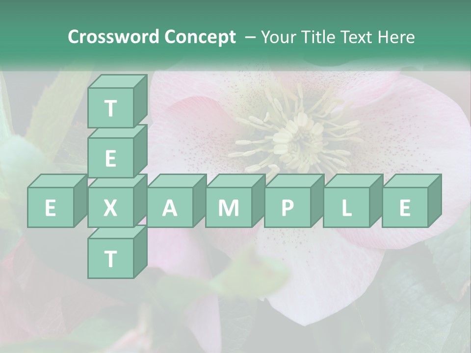 A Pink Flower With Green Leaves On It PowerPoint Template