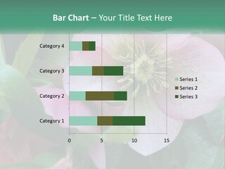 A Pink Flower With Green Leaves On It PowerPoint Template