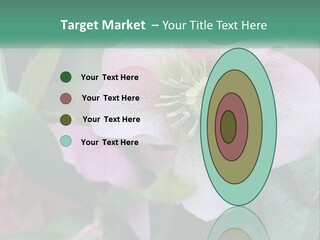 A Pink Flower With Green Leaves On It PowerPoint Template