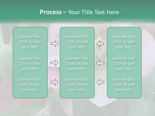 A Pink Flower With Green Leaves On It PowerPoint Template