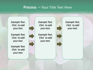 A Pink Flower With Green Leaves On It PowerPoint Template