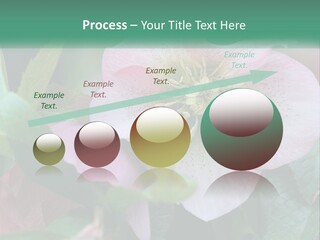 A Pink Flower With Green Leaves On It PowerPoint Template