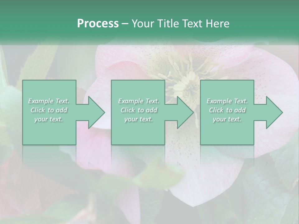 A Pink Flower With Green Leaves On It PowerPoint Template