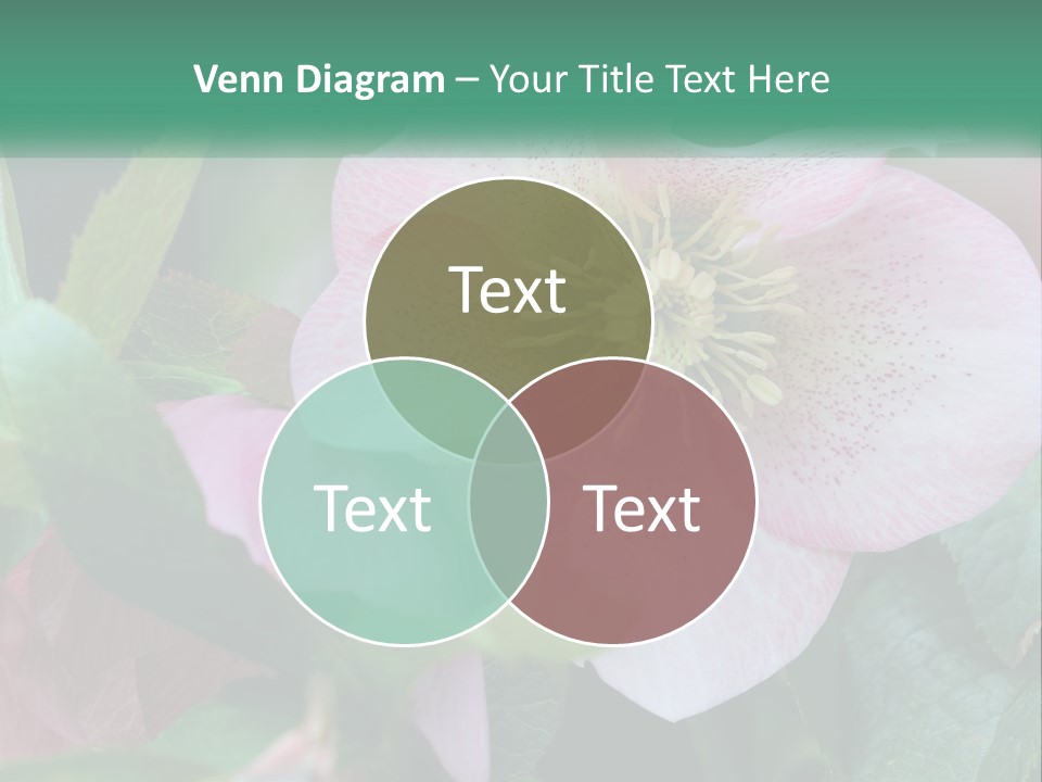 A Pink Flower With Green Leaves On It PowerPoint Template