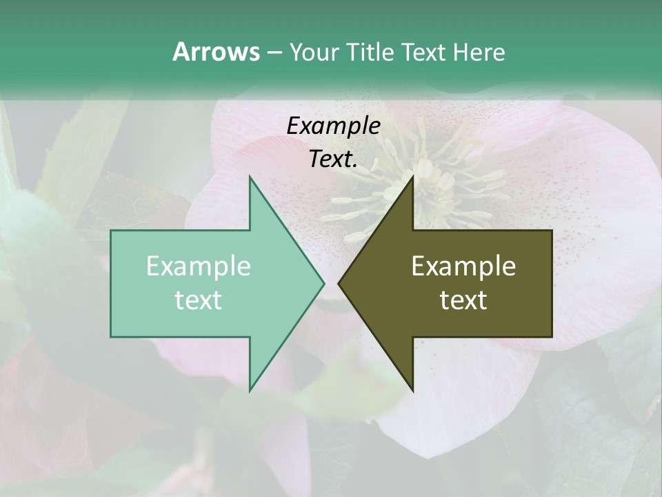 A Pink Flower With Green Leaves On It PowerPoint Template