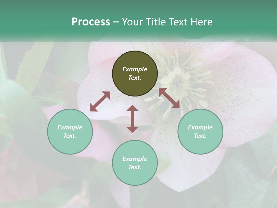 A Pink Flower With Green Leaves On It PowerPoint Template