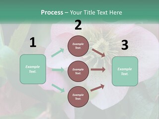 A Pink Flower With Green Leaves On It PowerPoint Template