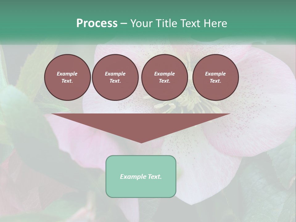 A Pink Flower With Green Leaves On It PowerPoint Template