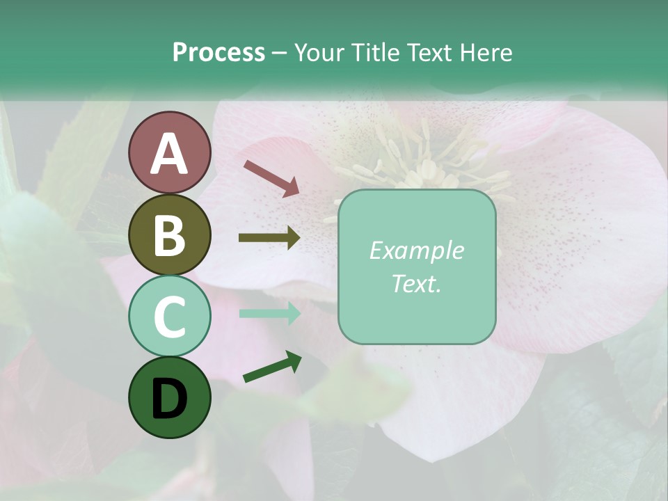 A Pink Flower With Green Leaves On It PowerPoint Template