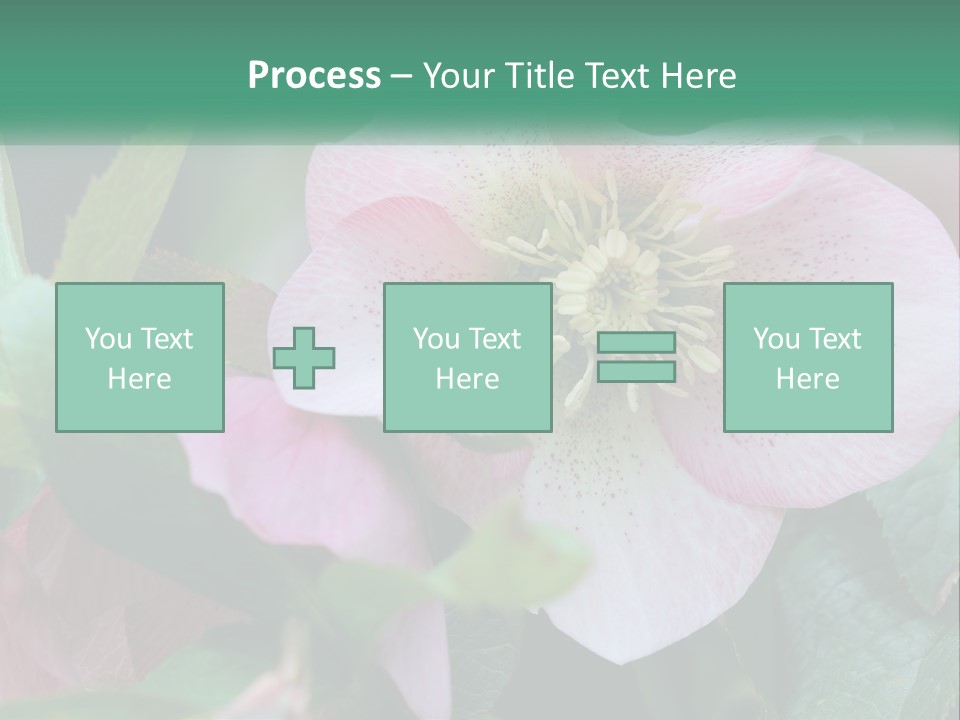 A Pink Flower With Green Leaves On It PowerPoint Template