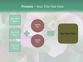 A Pink Flower With Green Leaves On It PowerPoint Template