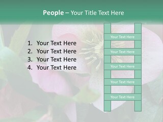 A Pink Flower With Green Leaves On It PowerPoint Template