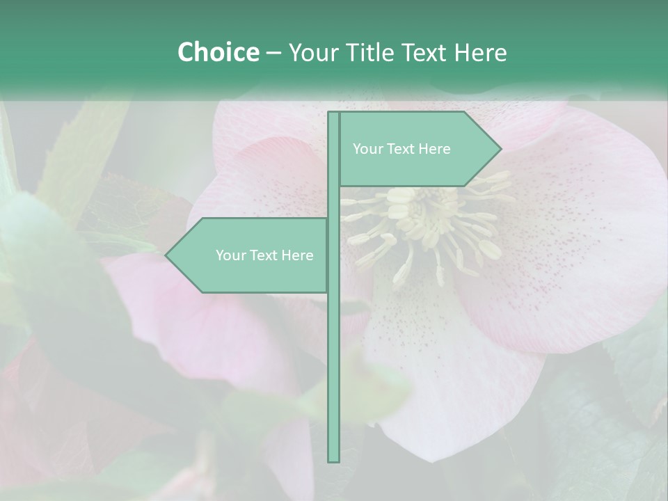 A Pink Flower With Green Leaves On It PowerPoint Template
