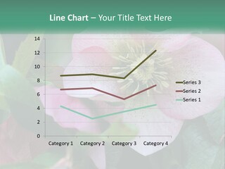 A Pink Flower With Green Leaves On It PowerPoint Template