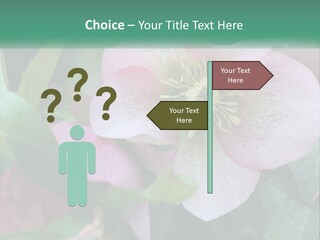 A Pink Flower With Green Leaves On It PowerPoint Template