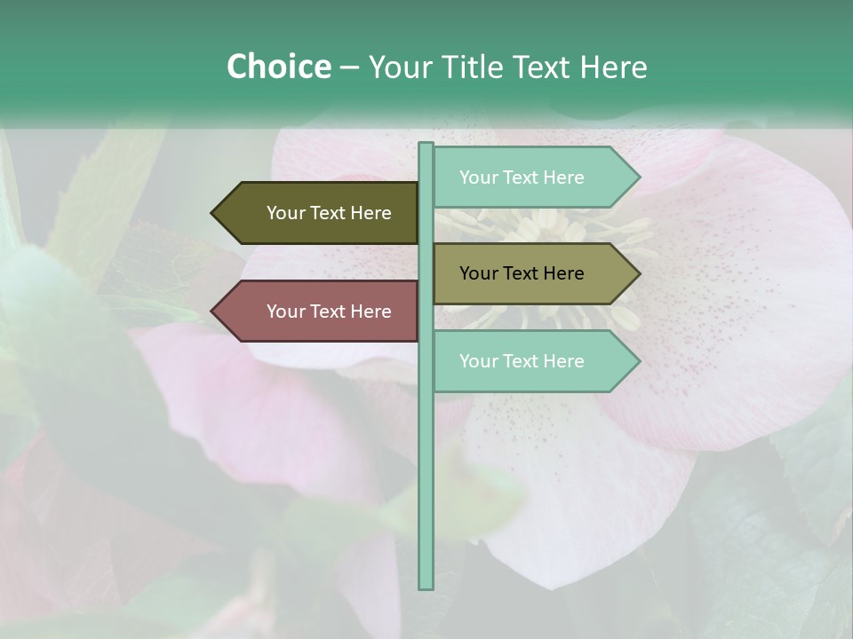 A Pink Flower With Green Leaves On It PowerPoint Template