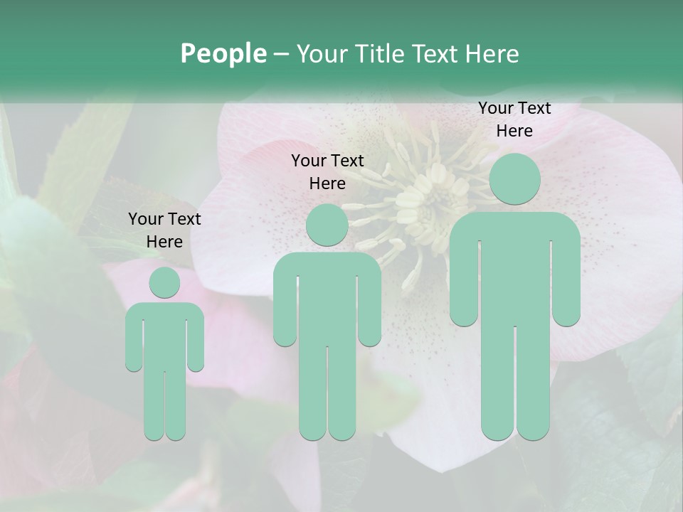 A Pink Flower With Green Leaves On It PowerPoint Template