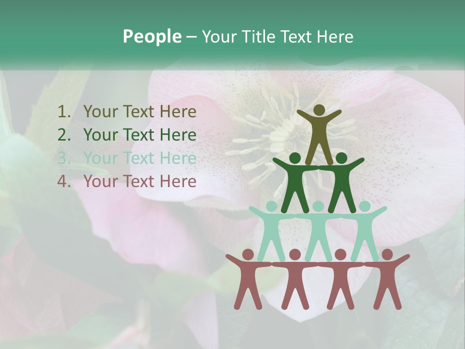 A Pink Flower With Green Leaves On It PowerPoint Template