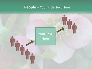 A Pink Flower With Green Leaves On It PowerPoint Template