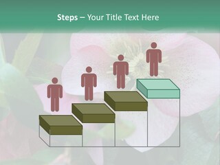 A Pink Flower With Green Leaves On It PowerPoint Template