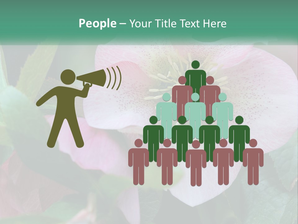 A Pink Flower With Green Leaves On It PowerPoint Template