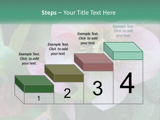 A Pink Flower With Green Leaves On It PowerPoint Template