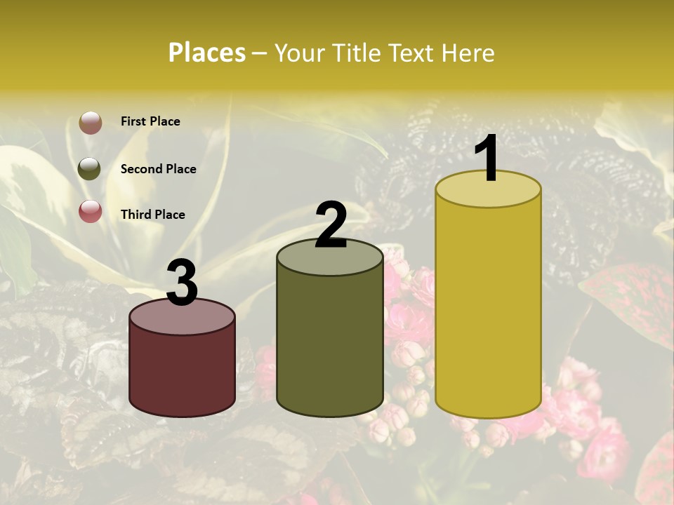 A Bunch Of Plants That Are In The Grass PowerPoint Template