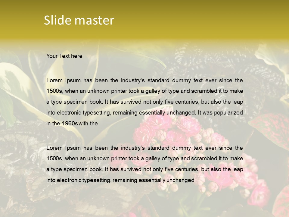 A Bunch Of Plants That Are In The Grass PowerPoint Template