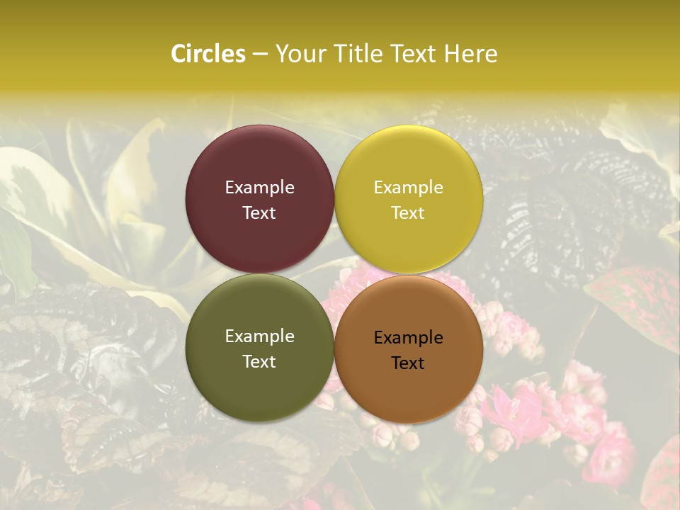 A Bunch Of Plants That Are In The Grass PowerPoint Template