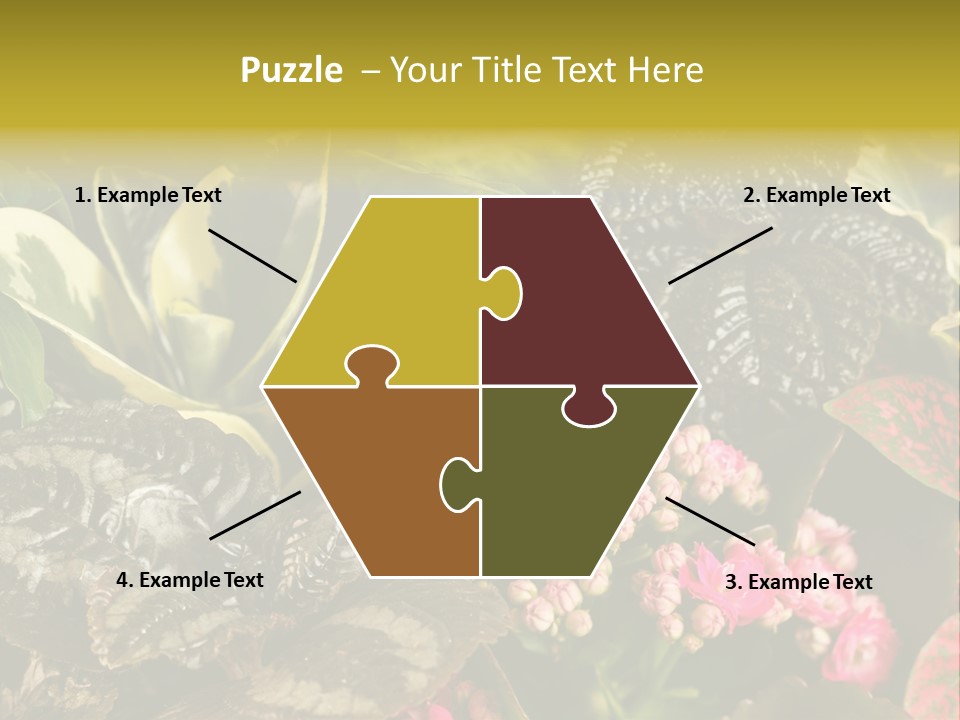 A Bunch Of Plants That Are In The Grass PowerPoint Template