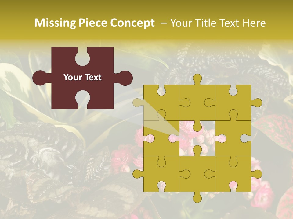 A Bunch Of Plants That Are In The Grass PowerPoint Template