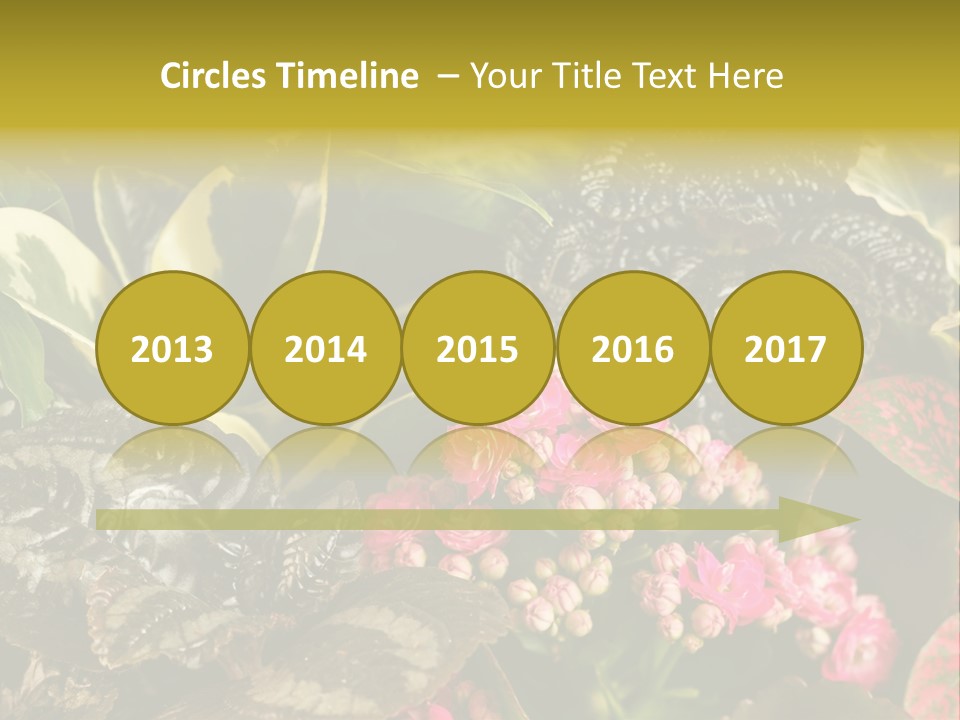 A Bunch Of Plants That Are In The Grass PowerPoint Template