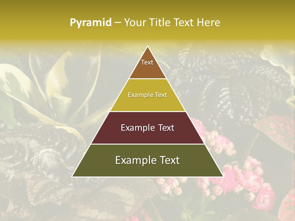 A Bunch Of Plants That Are In The Grass PowerPoint Template