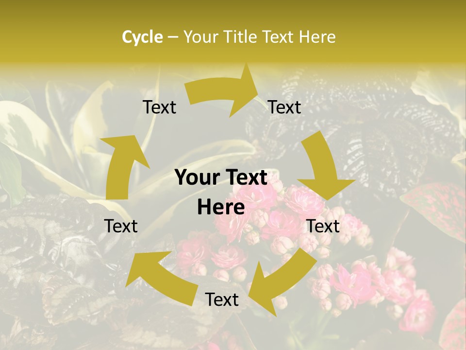 A Bunch Of Plants That Are In The Grass PowerPoint Template