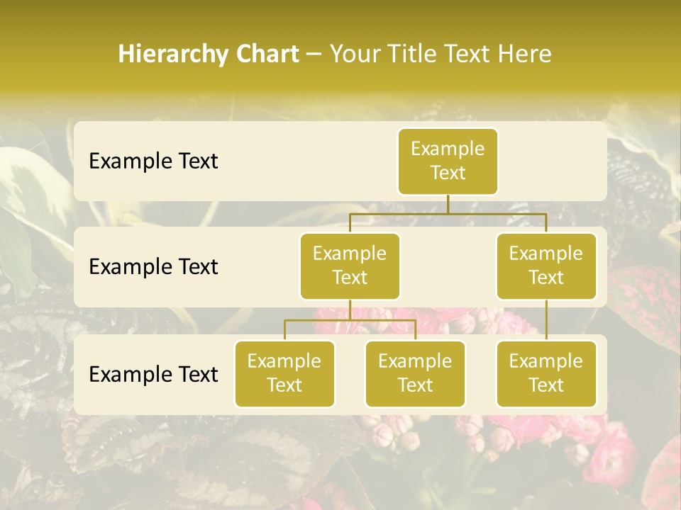 A Bunch Of Plants That Are In The Grass PowerPoint Template